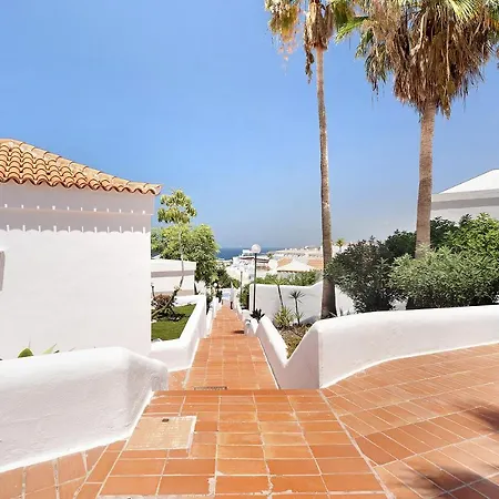 Valley Blue Ocean B2 * Адехе